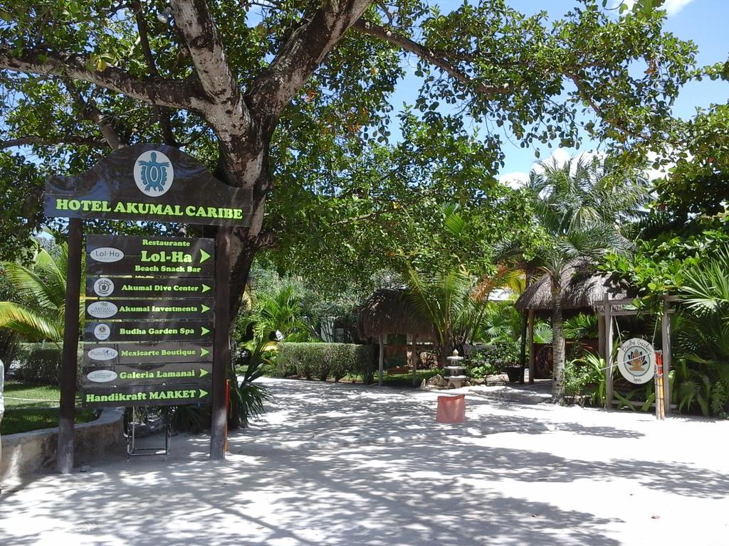 Hotel Club Akumal Caribe Kültér fotó